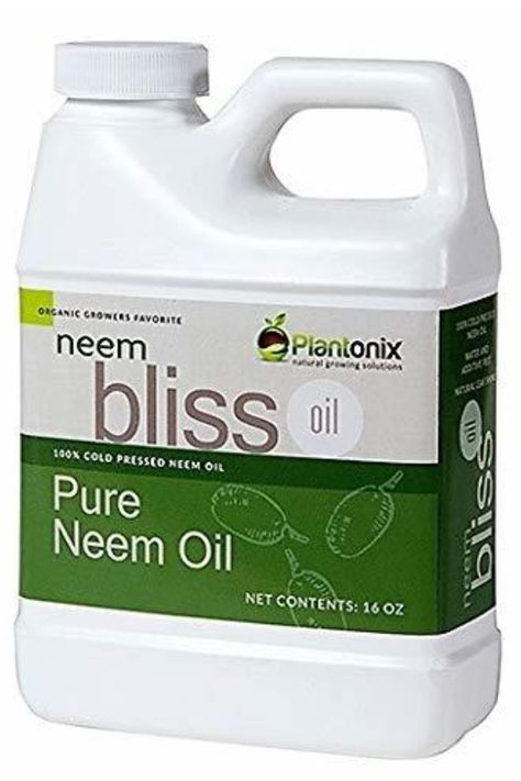 How To Use Neem Oil - The Organic Solution To Pest & Disease Control! Get Rid Of Aphids, Pachira Aquatica, Organic Insecticide, Natural Insecticide, Foliar Spray, Natural Pesticides, Insecticidal Soap, Natural Pest Control, Pepper Plants