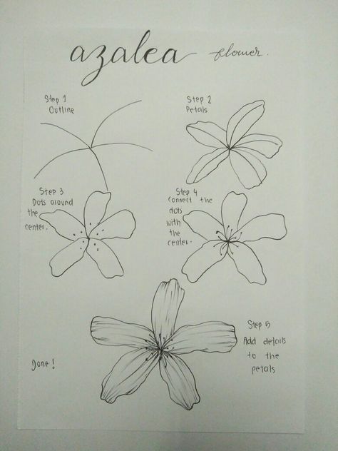 How To Draw Azalea Flower, Botanical Line Drawing Step By Step, Azalea Drawing, Flower Drawing Tutorial Step By Step, Easy Flower Drawings, Pencil Drawings Of Flowers, Pencil Drawings For Beginners, Botanical Line Drawing, Draw Flowers