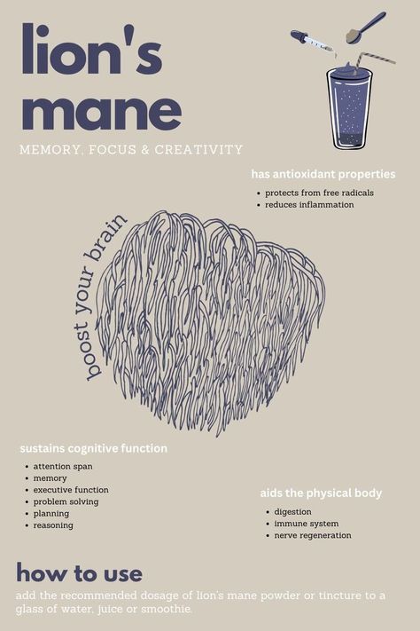 Source by dianajamerson Lion's Main Mushroom, Lion's Mane Mushroom Drawing, Mushrooms For Inflammation, Lions Mane Extract, King Trumpet Mushroom Benefits, Lions Mane Supplement, Functional Mushroom Benefits, Lions Mane Mushroom Illustration, Lions Mane Benefits For Women