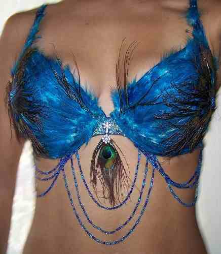 Peacock Outfit, Feather Bra, Peacock Halloween Costume, Peacock Halloween, Feather Peacock, Bra Art, Peacock Costume, Holloween Costume, Pretty Halloween