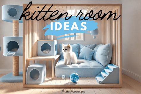 Kitten Room Designs: Step-by-Step Set-Up and Roaming Schedule • Kritter Kommunity Kitten Room Ideas, Kitten Room, Kitten Biting, Floating Cat Shelves, Room Decor Tips, Cozy Beds, Cat Window Perch, Window Perch, Separate Room