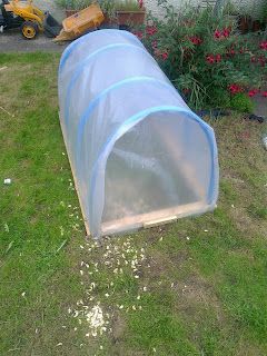 Diy Polytunnel, Small Polytunnel, Hygge Garden, Greenhouse Garden, Garden Layout Vegetable, Garden Growing, Gardening Techniques, Veg Garden, Diy Greenhouse