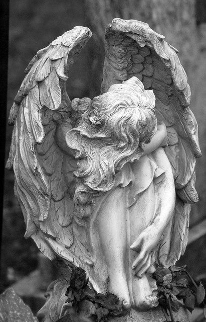 I picked this for my everyday life example for value. This sculpture piece is wonderful and fold natural value from light and shadow in the groves of the artwork. i this is elegant and enchanting with pale grays and porcelain white values. Angelo Guerriero, Weeping Angels, Cemetery Angels, Cemetery Statues, Weeping Angel, I Believe In Angels, Angel Statue, Angel Sculpture, Ange Demon