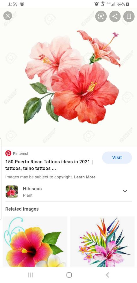 Hibiscus Puerto Rico Tattoo, Puerto Rican Flower Tattoo, Puerto Rican Hibiscus, Puerto Rico Tattoo, Taino Tattoos, Puerto Rico Island, Tattoo Coverup, Ankle Tat, Astrology Tattoo