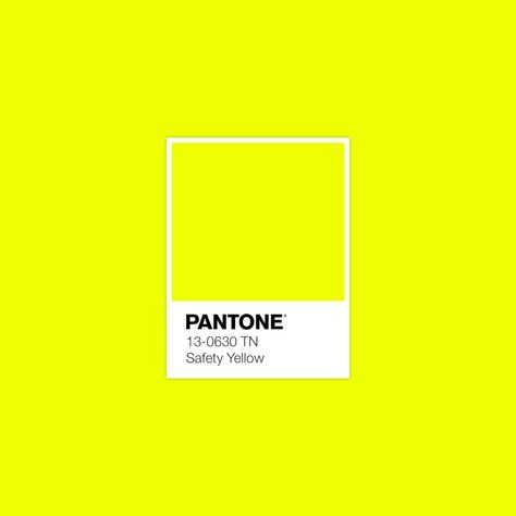 FHI Nylon Brights TN illustrates the appearance of bright, neon and fluorescent color on knitted nylon fabric. #Pantone #Neon #Color · Hand-Picked Color Palettes with Free Color Swatch Download for Adobe Illustrator · Kid's Pattern Neon Colour Palette, Yellow Pantone, Pantone Swatches, Pantone Palette, Pantone Colour Palettes, Color Inspo, Colour Board, Color Swatch, Neon Color