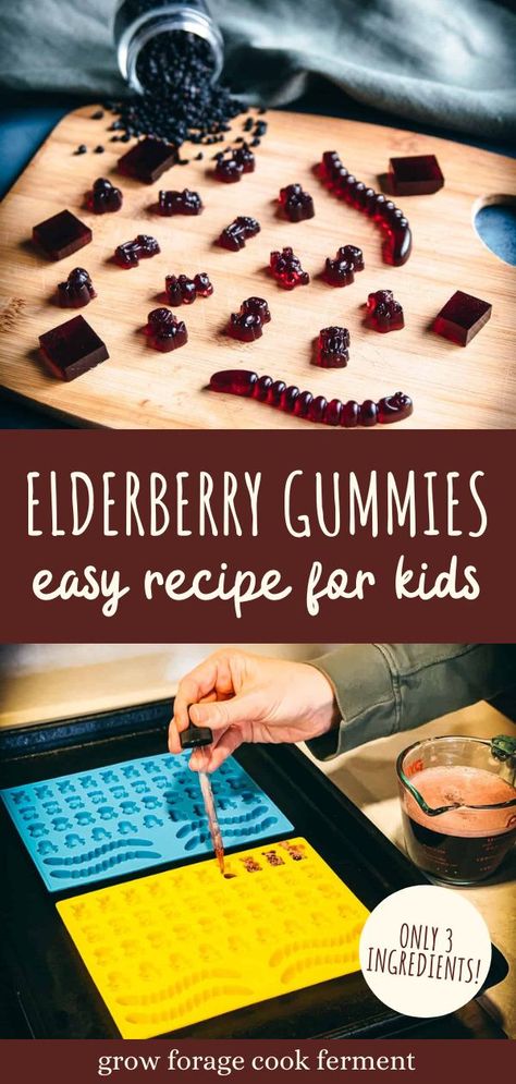 Elderberry Gummies Recipe, Seasonal Recipes Fall, Elderberry Benefits, Medicine Recipes, Take Medicine, Elderberry Syrup Recipe, Homemade Elderberry, Elderberry Recipes, Gummies Recipe