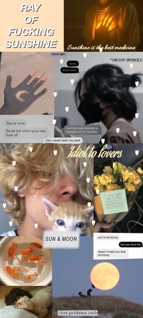 Sunshine And Grumpy Aesthetic, Sunshine X Grumpy Aesthetic, Ivy Alexandria, Grumpy Sunshine Aesthetic, Sunshine X Grumpy, Grumpy X Sunshine Aesthetic, Golden Retriever Aesthetic, Black Cat X Golden Retriever, Grumpy X Sunshine