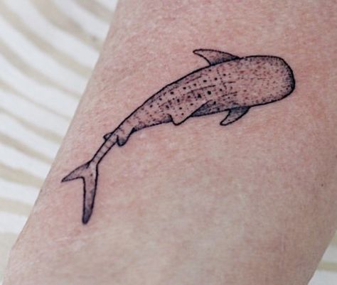 Minimalist Whale Shark Tattoo, Whale Shark Line Tattoo, Whale Shark Tattoo Ideas, Simple Whale Shark Tattoo, Small Whale Shark Tattoo, Shark Tattoos For Women, Small Shark Tattoo, Whale Shark Tattoo, Sea Life Tattoos