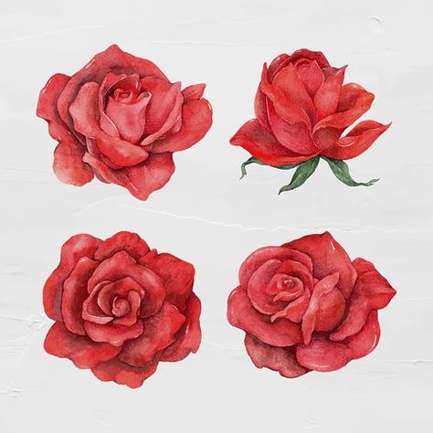 Vector red rose flower vintage | Premium Vector - rawpixel Haldi Card, Red Rose Sketch, Red Flower Illustration, Abstract Rose Painting, Realistic Rose Drawing, Red Flower Design, Rose Line Art, Abstract Rose, Arte Aesthetic