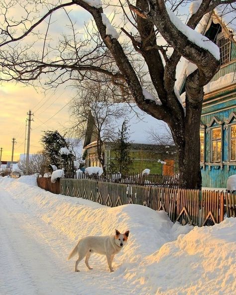 Russian Landscape, Peisaj Urban, Russian Winter, Winter Magic, Winter Scenery, Winter Beauty, Snow Scenes, Winter Pictures, Winter Aesthetic