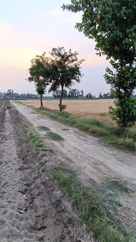 Village Pind Village Snap, Village Snap, Ford Endeavour, Dog Snapchats, Village Photos, Village Photography, Fake Pictures, Village Life, Funny Fun Facts