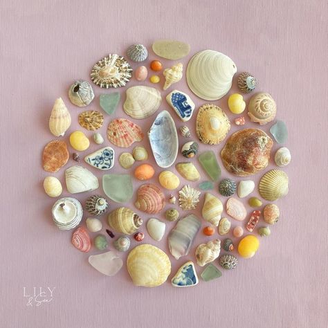 Sea Glass Art Projects, Hobbies To Try, Shell Crafts Diy, Glass Art Projects, Sea Glass Crafts, Swipe Right, Seashell Art, Creative Painting, Seashell Crafts