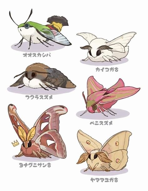 Moth Drawing, Cute Moth, Moth Art, 강아지 그림, Cute Fantasy Creatures, Creature Drawings, 캐릭터 드로잉, Fantasy Creatures Art, Mythical Creatures Art