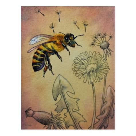 Dandelion Watercolor, Dandelion Plant, Art Square, Vintage Bee, Bee Art, Water Colors, Bees Knees, Illustrations And Posters, Postcard Size