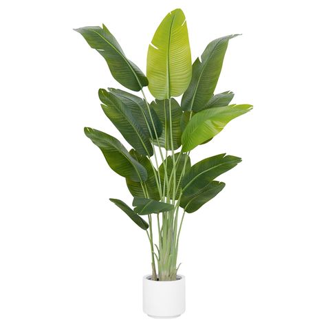 PRICES MAY VARY. 🌳【Realistic Faux Tropical Plants】This 6.5Ft tall faux bird of paradise tree features 15 real touch leaves crafted from silk fabric with delicate veins. The 15 irregular trunks add to the authentic look, making this tree incredibly realistic. 🌳【Durable and Stylish Planter】Our strong and sturdy planter is made from premium concrete and heavy-duty plastic, ensuring long-lasting quality. The sleek white cylindrical design complements any interior space. 🌳【Easy Assembly】With no ne Fake Tropical Tree, Large Fake Palm Tree, Palm Plant Bedroom, Plant Indoor Decor, Big Potted Plants, Large Fake Plants, Banana Leaf Tree, Birds Of Paradise Plant, Palm Tree Plant