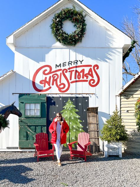 The Old Lucketts Store's Holiday Design House | A Touch of Teal Farm Aesthetic, Christmas Things To Do, Christmas Tree Lots, Christmas Farm, Merry Christmas Ya Filthy Animal, Christmas Parade, Christmas Sleigh, Christmas Wonderland, Old Fashioned Christmas