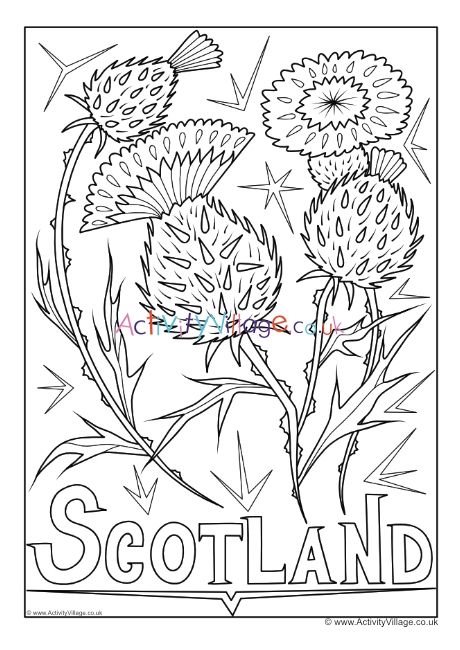 Scotland Coloring Pages, Flower Colouring, Scotland Thistle, Scotland National Flower, Flower Of Scotland, National Flower, Highland Games, Colouring Page, Illuminated Letters