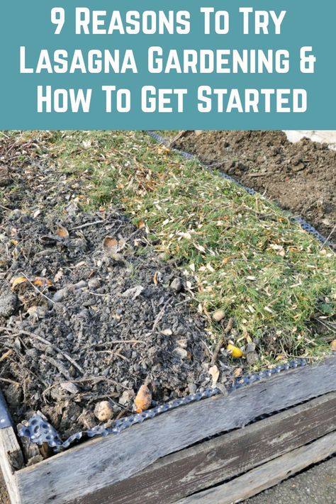 When I discovered lasagna gardening, it changed my life. Here's why you should try it too and how to get started. Lasagna Gardening Layers, Garden Weeder Tool, Lasagna Garden, Bed Layout, Lasagna Gardening, Food Forest Garden, Garden Bed Layout, Garden Watering System, Garden Kneeler