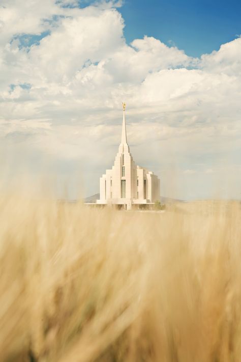 The entire Rexburg Idaho Temple, including a wheat field. Rexburg Temple, Lds Temple Pictures, Later Day Saints, Rexburg Idaho, Mormon Temples, Temple Photography, Church Pictures, Temple Pictures, Mormon Temple