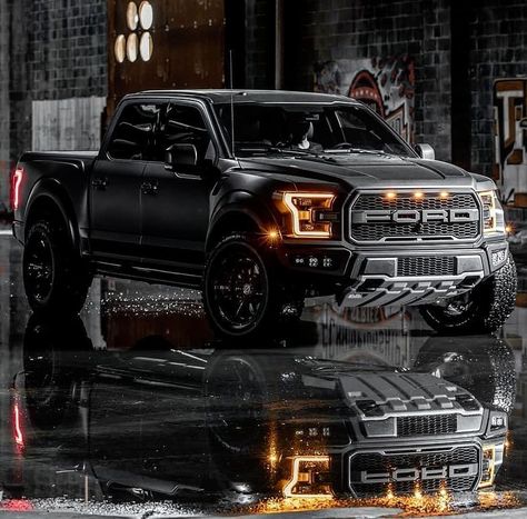 Ford F-150 Raptor Black Ford Raptor, Truk Ford, Ford Raptor Truck, Raptor Truck, Ford F150 Raptor, Ford Trucks F150, Ford F 150 Raptor, Dream Trucks, Trophy Truck