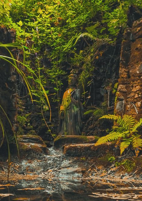 Secret buddha statue in a pond situated in the gardens of Greenway House, Devon, Home of Agatha Christie. Green Statue Aesthetic, Statues In Water, Waterfall Statue, Aphrodite Statue, Overgrown Sculpture, Mossy Statue Aesthetic, Statue Overgrown, Garden Buddha, Drawing Refrences