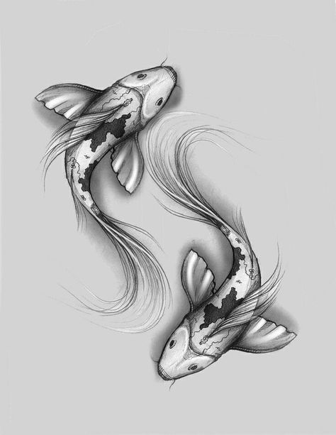 Two Fish Tattoo Design, Koi Carp Drawing, Fishes Tattoo Design, Pisces Fish Drawing, Koi Fishes Tattoo, Tattoo Carpe Koi, Pisces Art Drawing, Carp Tattoo Design, Pisces Koi Fish