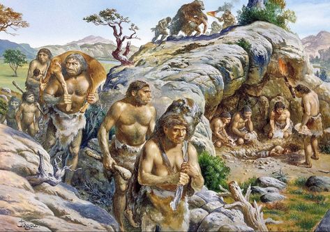 Prehistoric Man, Kids Book Series, Prehistoric World, Early Humans, Surprising Facts, Stone Age, Prehistoric Animals, Ancient Civilizations, Animals Wild