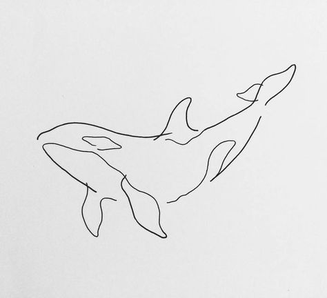 Tattoo Line Art, Orca Tattoo, Tattoo Line, Whale Tattoos, Line Art Drawings, Style Art, Line Art, Tattoo Designs, Motion