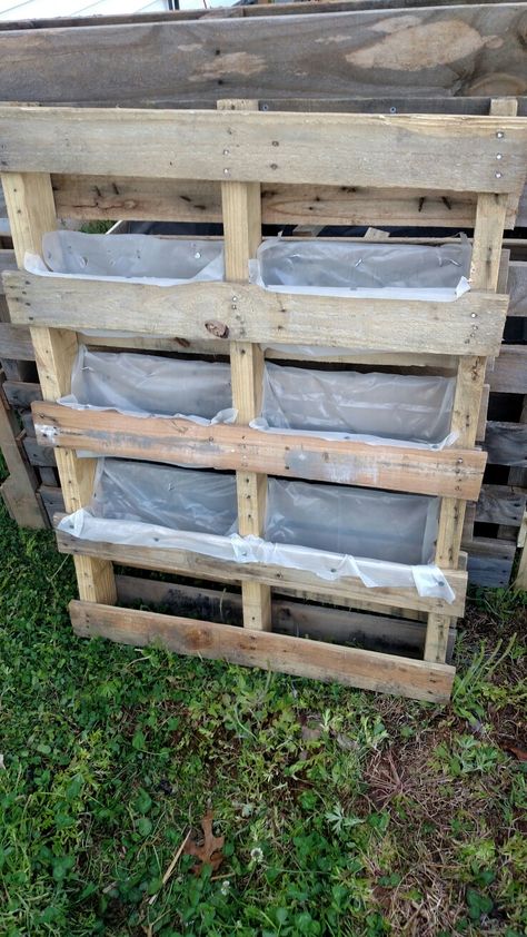 For strawberries... Nailed plastic to small pallet making pockets for planting in. Follow for updates! Strawberry Planter Pallet, Strawberry Planter Ideas, Pallet Garden Walls, Easy Small Garden Ideas, Pallet Gardens, Pallet Garden Ideas, Raised Garden Beds Diy Vegetables, Small Pallet, Pallet Projects Garden