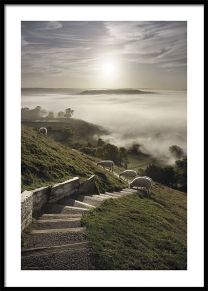 – Photograph of a herd of sheep walking in a green landscape with a stairway 				Gallery walls | Wall art inspiration | Desenio.co.uk Stairway Picture Wall, Stairway Pictures, Sheep Poster, Joseph Of Arimathea, Country Life Magazine, Foggy Mountains, Somerset England, Horse Posters, Gold Poster