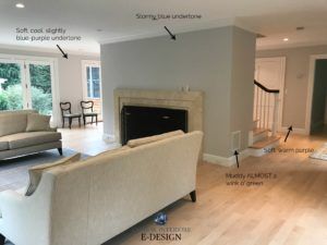 How to pick the best gray paint colour. Showing Benajmin Moore Shoreline by Kylie M INteriors Edesign blog Bm Shoreline Paint, Bm Shoreline, Benjamin Moore Stonington Gray, Paint Decor Ideas, Big Houses Interior, Kylie M Interiors, Best Gray Paint Color, Repose Gray Sherwin Williams, Best Gray Paint