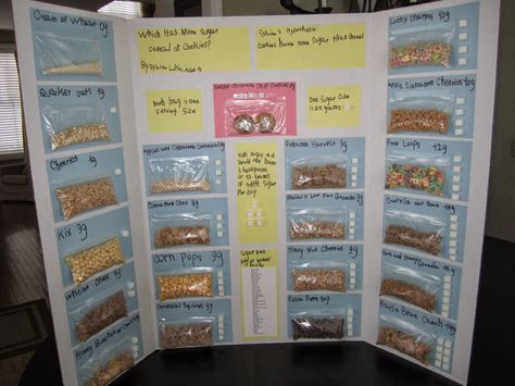 Mom Explores Michigan: Science Fair Fun: What has more Sugar, Cookies or Cereal? Sugar In Drinks, Kids Bulletin Boards, Cool Science Fair Projects, How Much Sugar, Science Quotes, Kid Experiments, 5th Grade Science, Science Themes, Fair Projects