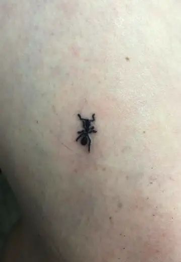 Ant Tattoo Small Cute, Tattoo Symbolism, Ant Tattoo, Stick Tattoo, Physical Appearance, Human History, Living Things, All Tattoos, Back Tattoo