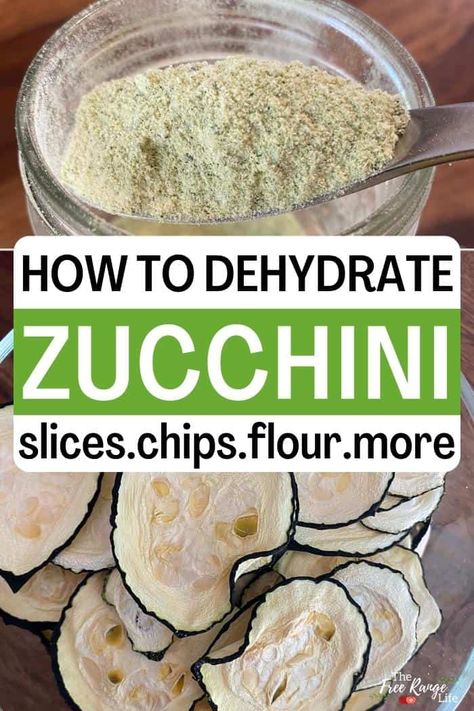 How to Dehydrate Zucchini Zucchini Chips Dehydrator, Dried Zucchini Chips, Dehydrated Chips, Vegetable Preserving, Dehydrating Zucchini, Dehydrate Zucchini, Dehydrate Recipes, Dehydrated Zucchini, Dehydrated Zucchini Chips