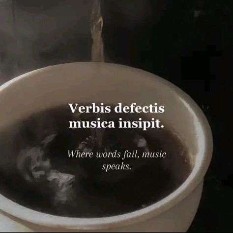 Dark academia - esque latin quote for my classical music babes Credit - @xxdreamsiexx on tiktok Latin Phrases Aesthetic, Meaningful Tattoo Quotes, Latin Quotes, Foreign Words, Latin Phrases, Language Quotes, Rare Words, Literature Quotes, Latin Words