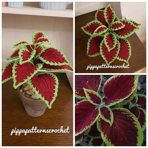 Red Coleus, Taplak Meja Crochet, Happy Birthday Flowers Gif, Bouquet Crochet, Crochet Leaf Patterns, Red Plants, Crochet Bouquet, Crochet Plant, Crochet Leaves