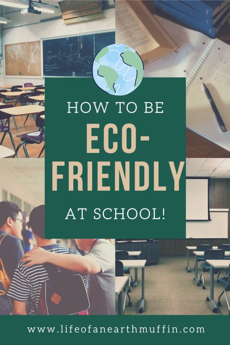 Eco Friendly Classroom Decor, Eco Friendly School Ideas, Eco Friendly Projects For School, Eco Friendly Classroom, Eco Ideas For Schools, Eco School Ideas, Eco Club Activities, Recycling Projects For School, Eco Friendly School