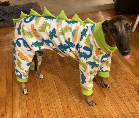 Other Greyhound pajamas Fancy Pet Patts (on etsy) pattern review by Doris W. in TN Diy Dog Pjs Pattern Free, Dog Pajamas Pattern Free, Pajamas Diy, Italian Greyhound Clothes, Dog Pjs, Diy Coat, Pajama Pattern, Dog Pajamas, Dog Coat