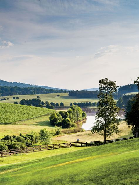 Plan a Girlfriend Getaway to Virginia's Wine Country Virginia Wine Country, Barolo Wine, Temecula Wineries, Virginia Wineries, Homegrown Food, Girlfriends Getaway, Italy Wine, Baby Goat, Charlottesville Virginia