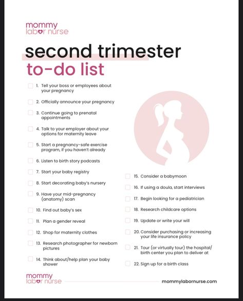 Second Trimester Belly, 2nd Trimester Checklist, Mom Checklist, Pregnancy Timeline, Pregnancy Facts, Baby Delivery, Pregnancy Help, Pregnancy Checklist, Healthy Pregnancy Tips