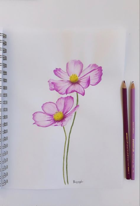 Flower Bouquet Drawing Color Pencil, Flowers Drawing With Pencil Colors, Flower With Pencil Colours, Colored Pencil Drawings Ideas, Colour Pencil Flower Art, Color Pencil Flower Art, Color Pencil Art Ideas Simple, Drawing Ideas Colour Pencil Beginner, Watercolor Pencils Flowers