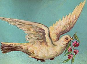 Dove Animal Quiz, Dove Tattoo, The Graphics Fairy, Your Spirit Animal, Blue Sky Background, Graphics Fairy, White Dove, White Doves, Vintage Graphic