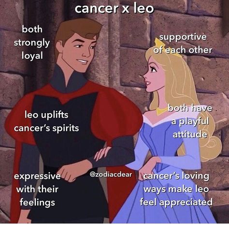 @zodiacdear on insta #zodiac #cancersign #leo Soft Energy, Leo Sun, Zodiac Things, Leo Love, Zodiac Stuff, Scorpio Moon, Zodiac Memes, Leo Zodiac, Quotes Life