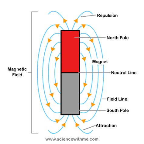 This is a nice diagram about Magnetic Fields that I can give students to add to their Interactive Science notebook, when given to my students I would white out the words and have them fill it in as we go through it. #PhysicalScience #EDUC325 #Diagram Magnet Lessons, Grade 2 Science, Magnet Activities, Magnets Science, Science Anchor Charts, Primary Science, Third Grade Science, 8th Grade Science, Interactive Science