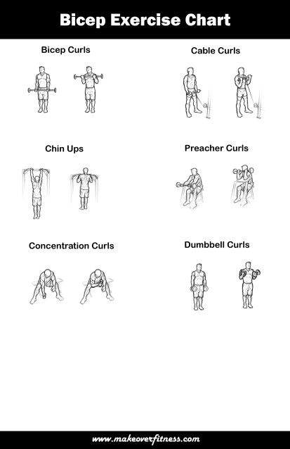 Bi cep Biceps Exercise, Arm Workout Men, Exercise Chart, Gym Program, Muscle Building Tips, Best Workout Plan, Workout Routine For Men, Workout Chart, Resistance Band Exercises