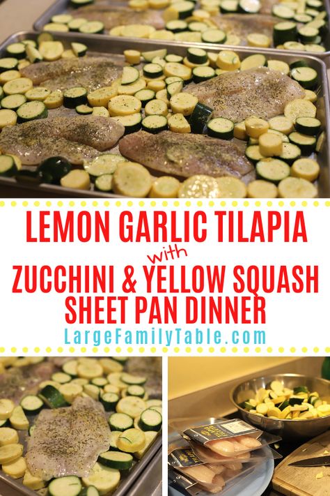 Fish Zucchini Recipes, Tilapia Sheet Pan, Dinner Large Family, Squash Sheet Pan Dinner, Squash Sheet Pan, Baked Squash And Zucchini Recipes, Lemon Garlic Tilapia, Lemon Pepper Tilapia, Tilapia Dinner