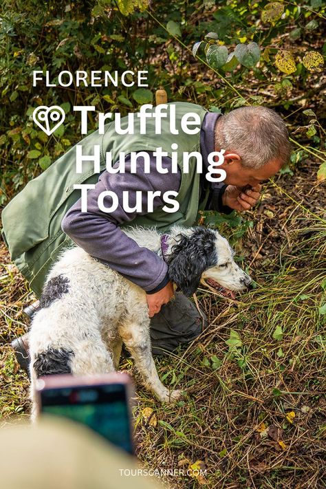 Embark on a culinary escapade with our guide to the 'Best Truffle Hunting Tours,' revealing the secrets and flavors hidden beneath the forest floor! 🍽️✨ From the rustic charm of truffle orchards to the thrill of the hunt, our blog is your key to a delectable adventure. Ready to savor the essence of truffle hunting? 👉🔗 #BestTruffleHuntingTours #CulinaryAdventure #TruffleHunting #FoodieJourney Truffle Hunting, Forest Floor, Florence Italy, Adventure Awaits, The Forest, Truffles, Florence, Hunting, Italy