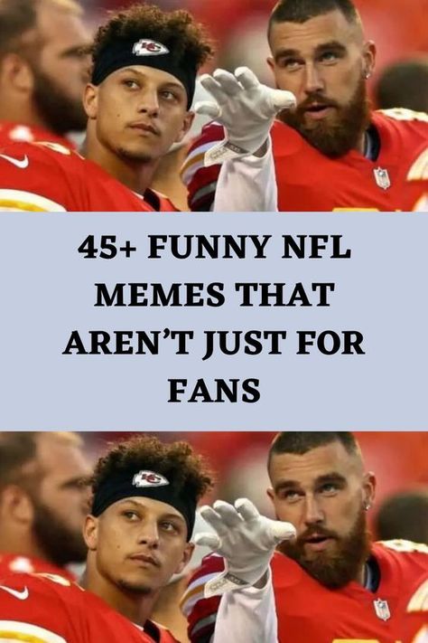 We love the NFL so much, but what we love more than the games are the memes, and boy are there so many of them. It doesn’t matter what team you follow, you can always laugh at these memes that take a shot at just about everybody. So si Funny Nfl Memes, Nfl Meme, Funny Nfl, The Memes, Scary Dogs, Nfl Memes, What Team, Panda Funny, Funny Phone Wallpaper