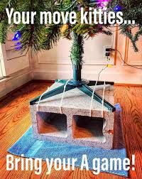 Pet-Proofing Christmas Trees: 8 Ideas You Have to See to Believe Christmas Cat Memes, Cat Proof Christmas Tree, Christmas Funnies, Cat Proofing, Cat Christmas Tree, Kitten Photos, Cat Holidays, Cat Christmas, Here Kitty Kitty