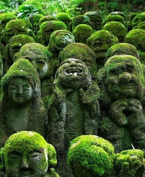 1,200 Stone Sculptures With Different Facial Expressions At The Nenbutsu-Ju Buddhist Temple In Kyoto, Japan Different Facial Expressions, Ancient Library, Japan Temple, Stone Sculptures, Shinto Shrine, Moss Covered, History Pictures, Japan Photo, Buddhist Temple